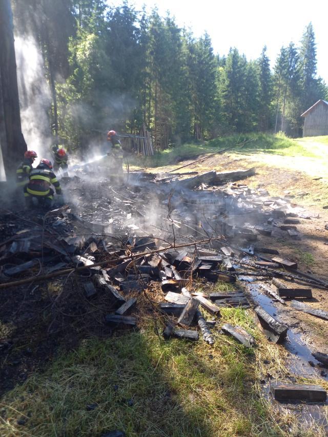 Depozit de lemne, incendiat cu o canistră de motorină, găsită la fața locului