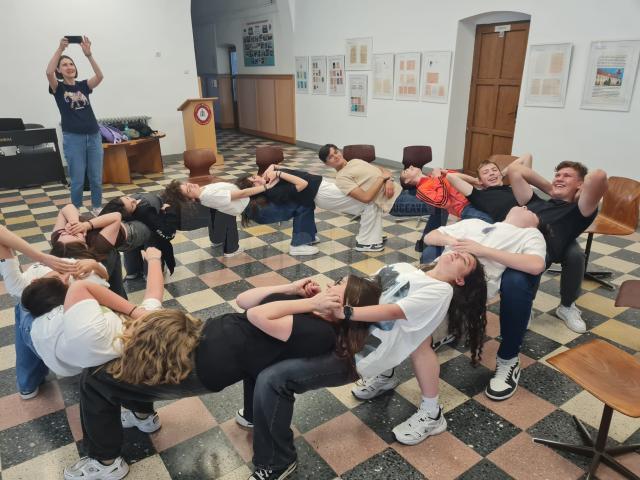 Cea de-a VIII-a ediție a Școlii de vară „Valter Vasile Olariu”