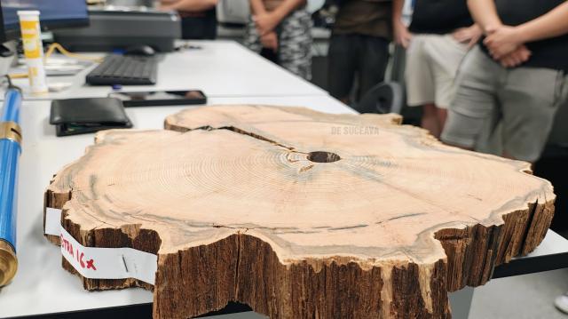 Studenții de la Silvicultură ai Universității Sapientia, în vizită de studiu la Suceava