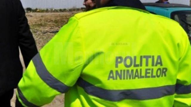 Poliția Animalelor