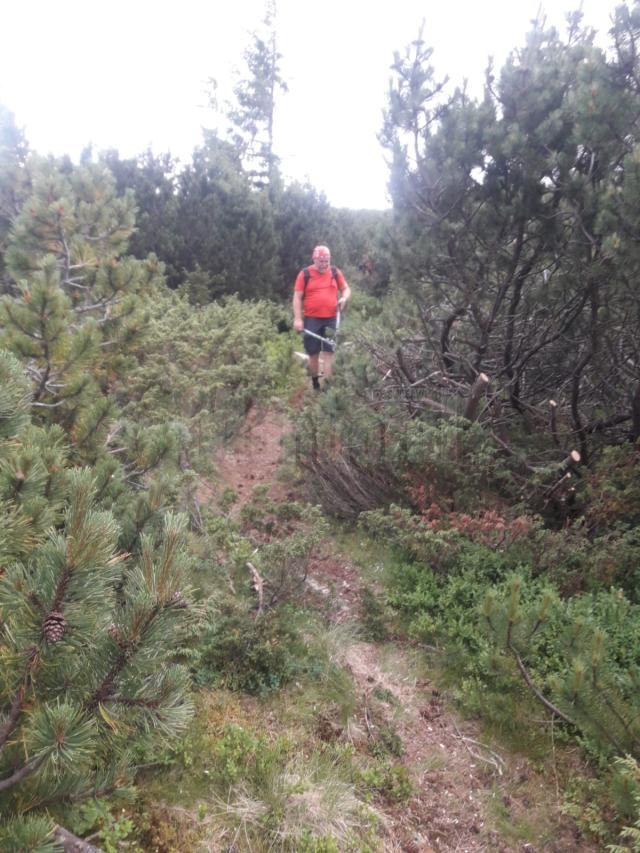 Salvamont Suceava reamenajează traseele turistice din masivele Călimani și Rarău