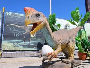 Expoziție de dinozauri și animale marine gigantice animatronice, în parcarea Iulius Mall Suceava