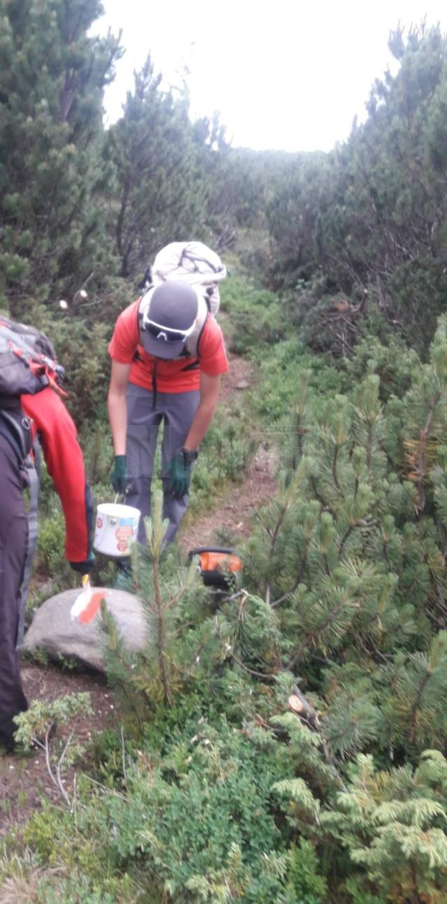 Salvamont Suceava reamenajează traseele turistice din masivele Călimani și Rarău