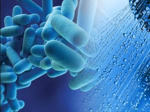 Bacteria este prezentă în sisteme de apă create de oameni