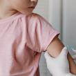 Peste 300 de oameni au fost vaccinați antirabic în județul Suceava, de la începutul anului, ...