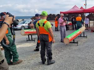 Demonstrații privind importanța măsurilor de protecție vor avea loc și în cadrul concursului „Forestierul priceput”, pe 26 iulie, la Poiana Stampei