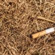 De beat ce era și-a incendiat, din greșeală, o anexă după ce a aruncat neglijent un muc de ...