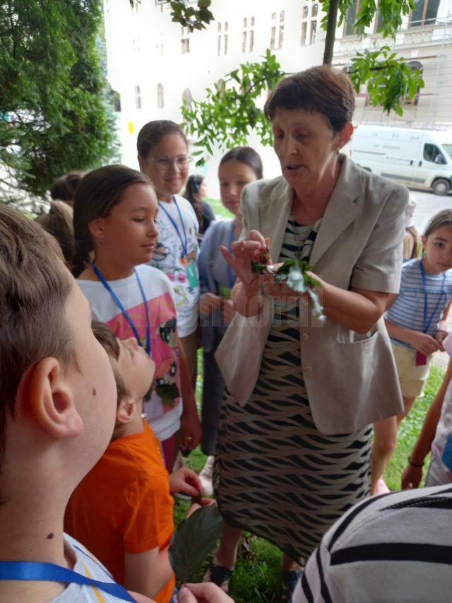 Sub îndrumarea muzeografului Lili Flutur, copiii explorează și învață lucruri noi despre natură