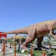Sâmbătă se deschide la Iulius Mall Suceava expoziția de animale marine gigant și dinozauri ...