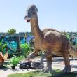 Sâmbătă se deschide la Iulius Mall Suceava expoziția de animale marine gigant și dinozauri animatronici. 50 de exemplare!