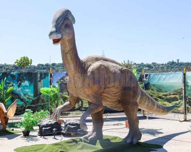 Sâmbătă se deschide la Iulius Mall Suceava expoziția de animale marine gigant și dinozauri animatronici. 50 de exemplare!