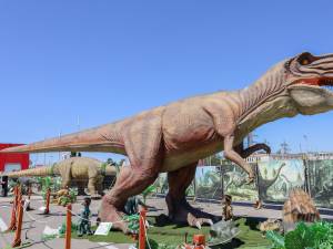 Sâmbătă se deschide la Iulius Mall Suceava expoziția de animale marine gigant și dinozauri animatronici. 50 de exemplare!