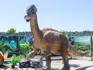 Sâmbătă se deschide la Iulius Mall Suceava expoziția de animale marine gigant și dinozauri animatronici. 50 de exemplare!