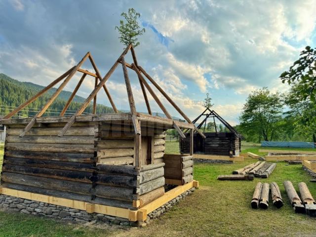 Bradul așezat pe structura acoperișului