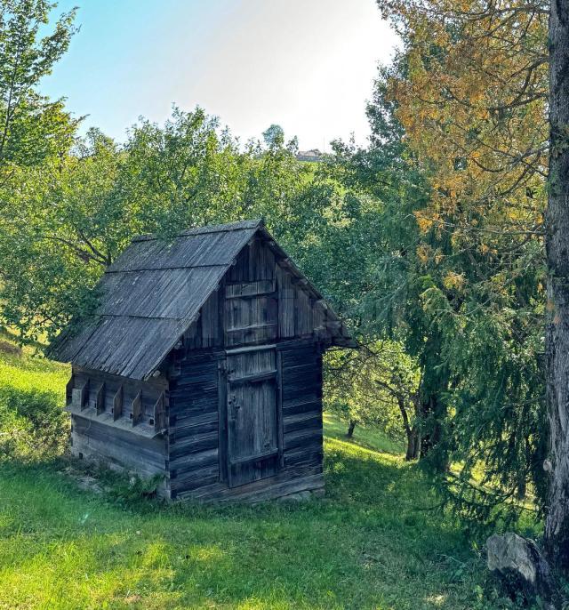 Prisaca pentru albine