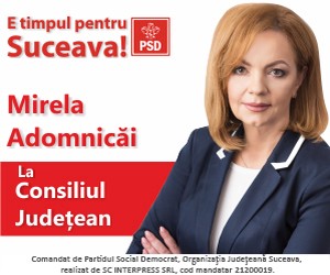 Mirela Admnicai la Consiliul Judetean