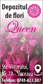 Depozitul de flori - Queen Concept Flowers