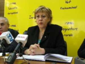 Angela Zarojanu îi cere demisia lui Ion Lungu
