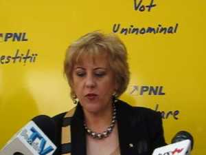 Angela Zarojanu face apel la decenţă pe perioada campaniei electorale