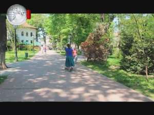 Campanie de distrugere a căpuşelor în parcurile municipiului Suceava