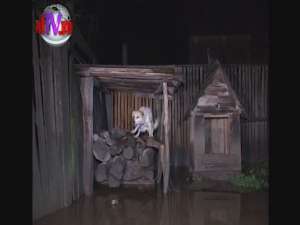 Gospodării şi case inundate, în două localităţi, după ploile de luni noapte