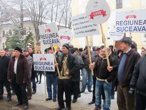 150 de suceveni au protestat în faţa Palatului Administrativ pentru ca Suceava să fie capitală de regiune