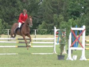 Curse cu obstacole, salturi uriaşe şi cai de rasă din toată ţara, la Cupa Bucovinei 2013