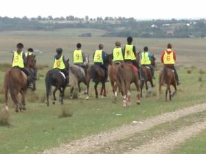 Maratonul cailor de rasă, la Horodnic de Sus