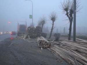 O remorcă cu lemne s-a răsturnat pe carosabil şi pe trotuar, la intrarea în Suceava