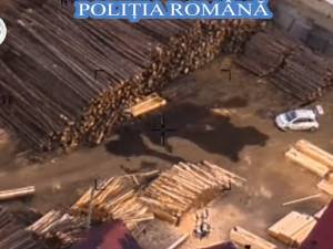 Peste 900 de mc lemn confiscat de polițiști, în urma unei ample acțiuni în Călimani