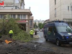 Un copac a căzut pe stradă în centrul Sucevei
