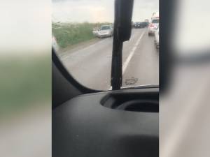 Șase mașini, implicate într-un accident pe E 85, la ieșirea din Suceava